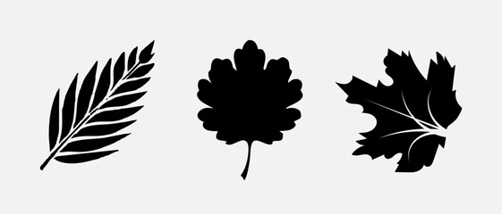 Leaf icons set, tropical leaves set, palm leaves silhouettes isolated, green leafs, environment and nature eco sign