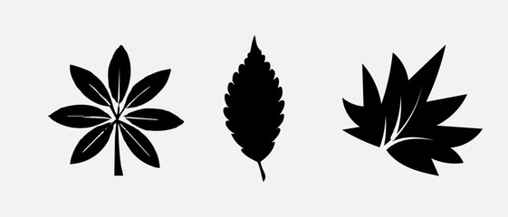 Leaf icons set, tropical leaves set, palm leaves silhouettes isolated, green leafs, environment and nature eco sign