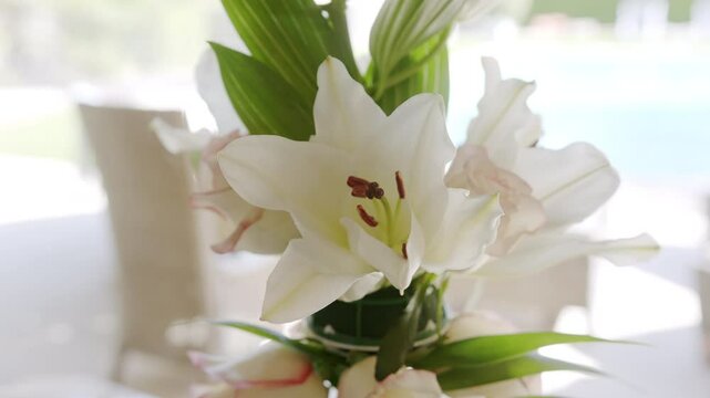 Delicate white lilies are arranged beautifully, bringing elegance to a sunlit indoor space. The lush greenery complements the flowers, creating a serene atmosphere.
