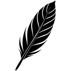 Obraz premium Minimalist Feather Silhouette Vector – Elegant & Stylish.