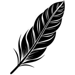 Obraz premium Feather Silhouette Vector Icon White Background.