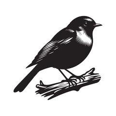 Robin bird Silhouette Vector Illustration, Solid White Background.