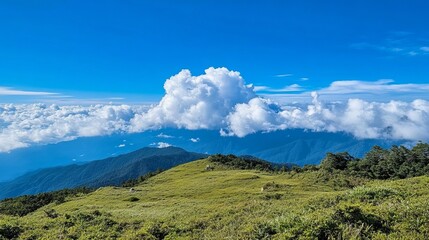 Fototapeta premium Bright blue sky with fluffy white clouds peaceful and uplifting atmosphere