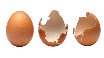New beginnings are born as an egg gradually cracks open revealing its potential