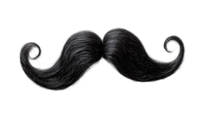 Stylish black mustache with elegant curls showcasing vibrant texture and design in a playful manner