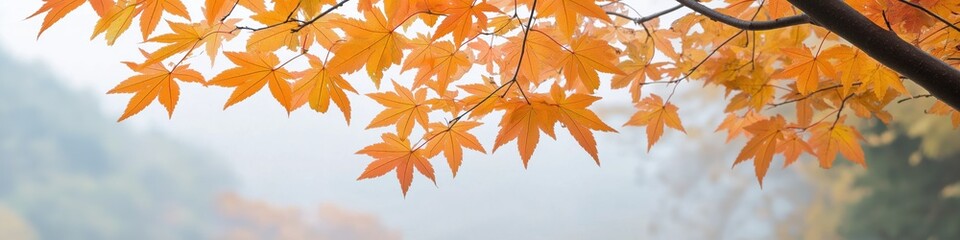 A tree with many leaves is shown in a blurry photo. The leaves are orange and the photo has a moody, dreamy feel to it