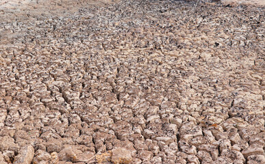 Drought-Stricken Land with Deep Cracks and Dry Soil
