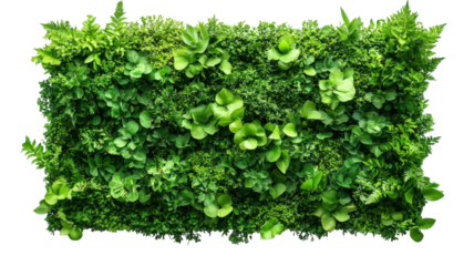 Lush green wall adorned with vibrant foliage creates a calming atmosphere indoors