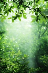 Obraz premium A lush green forest with a tree branch in the foreground. The leaves are green and the sky is blue