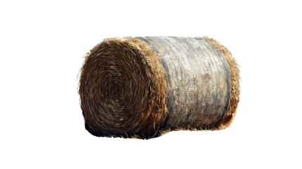 Golden Hay Bale: A single, rustic hay bale rests serenely, bathed in the soft glow of daylight.