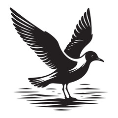 Seagull bird Silhouette Vector Illustration, Solid White Background.