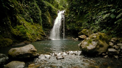 Fototapeta premium Lush Green Forest Waterfall Cascading into a Rock Pool