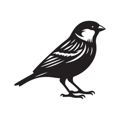 Sparrow bird Silhouette Vector Illustration, Solid White Background.