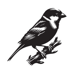 Sparrow bird Silhouette Vector Illustration, Solid White Background.