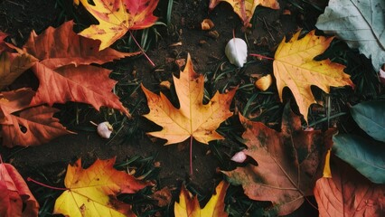 Colorful autumn leaves in red yellow and orange scattered on dark brown soil with some green grass peeking through creating a vibrant fall scene