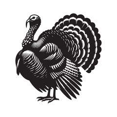 Turkey bird Silhouette Vector Illustration, Solid White Background.