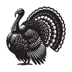 Turkey bird Silhouette Vector Illustration, Solid White Background.