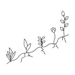 Plant Growth Stages Seedling, Sprout, Blossom, and Mature Plant