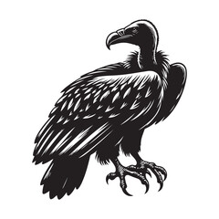 Vulture bird Silhouette Vector Illustration, Solid White Background.