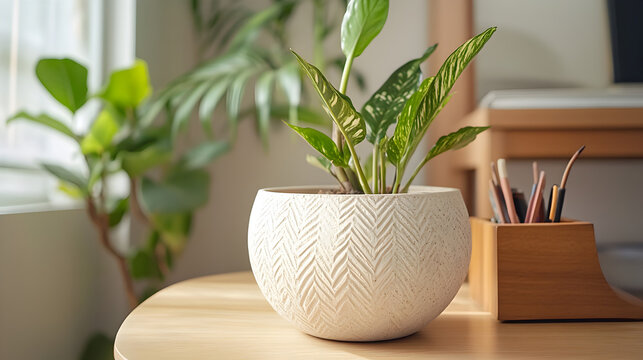 home office with a stylish chair, desk organizer, and indoor plants 