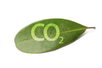 CO2 and Climate change concept on green leaf on white background