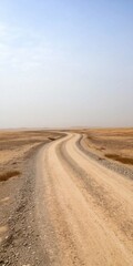 A road in the desert with a cloudy sky in the background. The road is empty and the sky is overcast