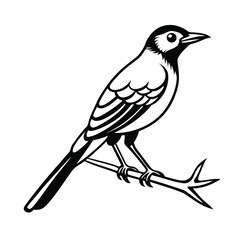 Obraz premium Elegant Black and White Bird Illustration on Branch