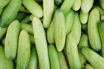 Fresh cucumbers (timun) with smooth green skin and crisp texture, showcasing their natural...