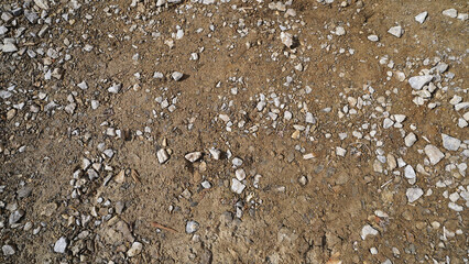 Clay, Gravel, and Wood: Earthy Textures