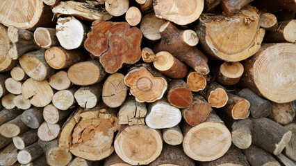 Firewood: Various Types of Logs Stacked Together