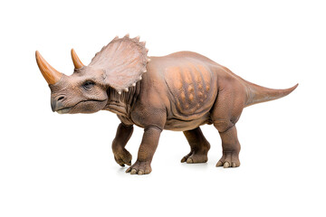 Fototapeta premium Dino triceratops isolated on white background