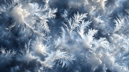 Delicate frosty pattern on a winter window: detailed icy background with intricate crystal designs.