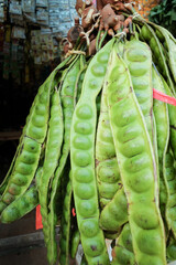 Fresh green petai (stink beans) hanging in bunches at a traditional food stall (warung), showcasing their vibrant color and raw texture