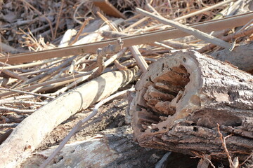 木材の質感、温もりを感じる自然素材