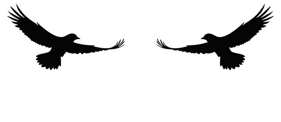 Flying American bird silouet in Monochrome Vector Art
