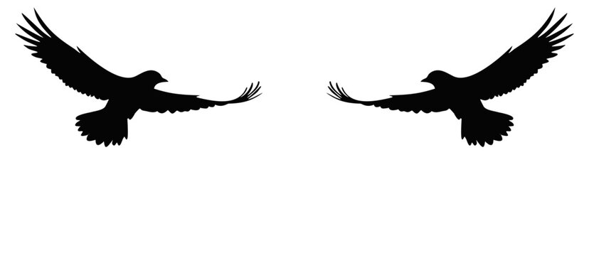 Flying American bird silouet in Monochrome Vector Art