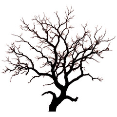 Obraz premium Lonely Silhouette Against a Fiery Sunset 