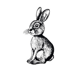 Cute bunny, Easter rabbit, hare. Element for design isolated. Vector hand drawn illustration. Design for your creative graphic project, postcard, invitations.