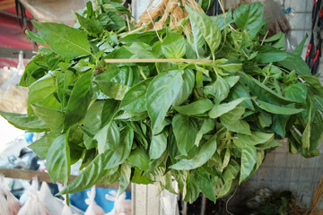 Fresh green basil leaves (daun kemangi) with a vibrant color and aromatic scent, commonly used as a raw side dish (lalap) in vegetarian meals