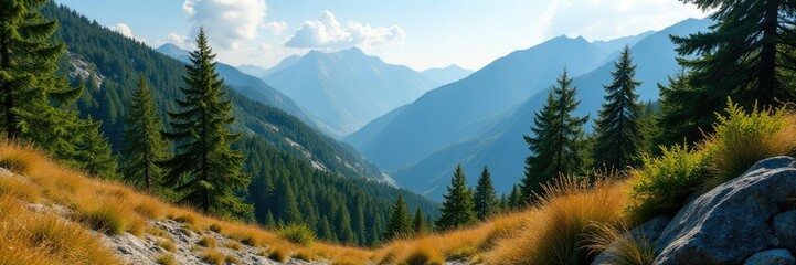 Obraz premium Dense foliage of conifers and deciduous trees amidst rugged mountain terrain, tree, landscape, earthy