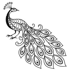 Obraz premium Elegant Peacock Illustration: Black and White Line Art Drawing of a Beautiful Bird with Ornate Feathers for Coloring Pages and Designs