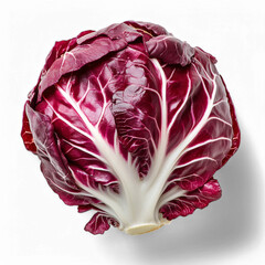 Fototapeta premium Fresh whole radicchio with deep purple leaves on transparent background