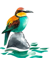 Kingfisher bird sitting on a rock. Hand drawn watercolour illustration