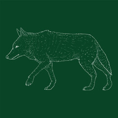 Wolf Vector Chalk Sketch Illustration