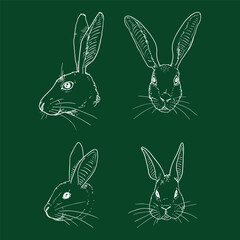 Vector Set of Chalk Sketch Rabbits and Hares Muzzles