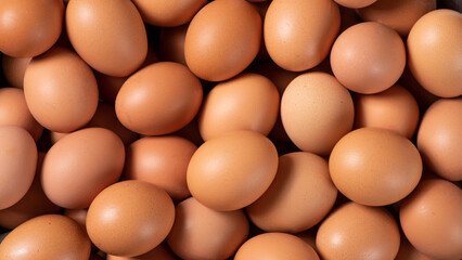 closeup of raw chicken eggs background