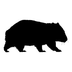 Wombat Full Body Silhouette Illustration