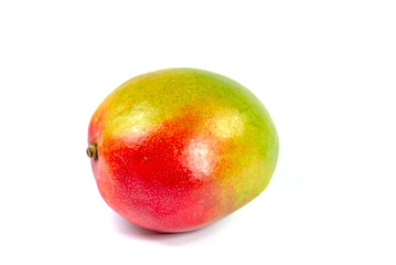 Mango, Mangifera indica, vor weißem Hintergrund