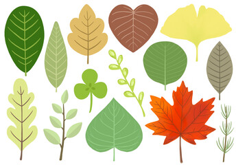 Obraz premium Leaves clipart images. Leaves in various shapes dan colors 