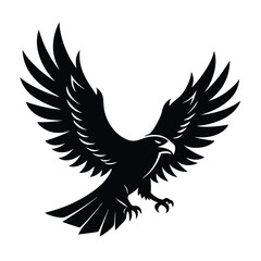 Eagle bird Vector Illustration